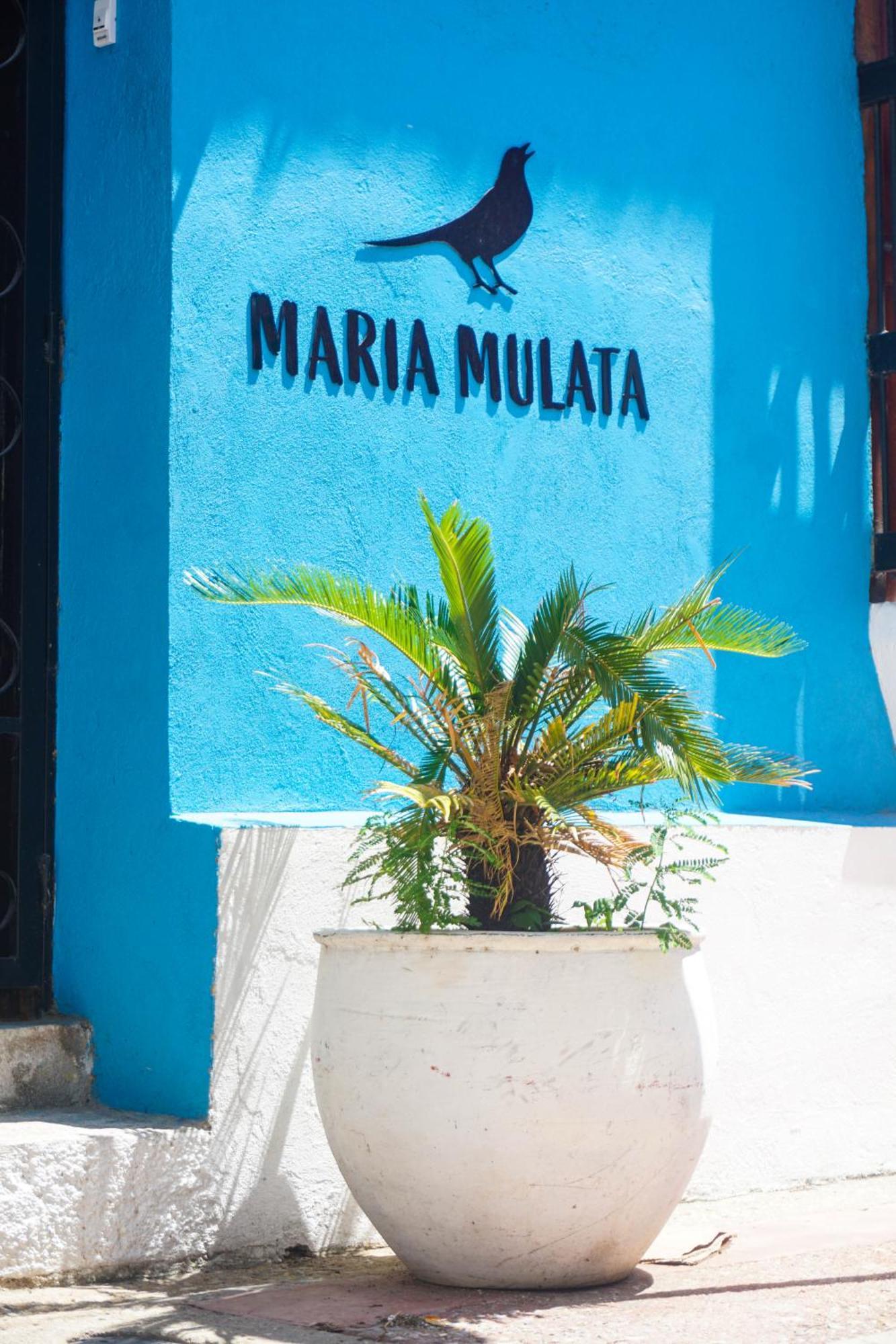 Maria Mulata Boutique Hotel Santa Marta Dış mekan fotoğraf